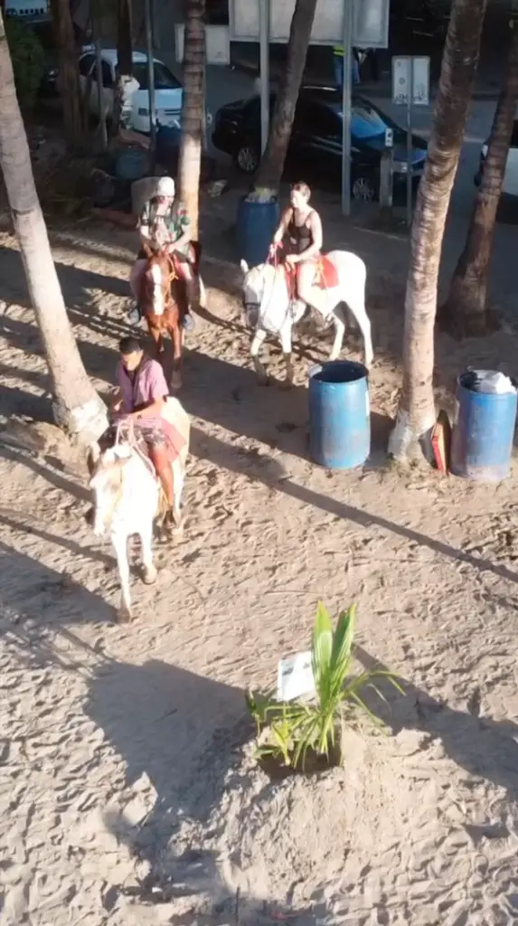 Tamarindo-horse-back-riding